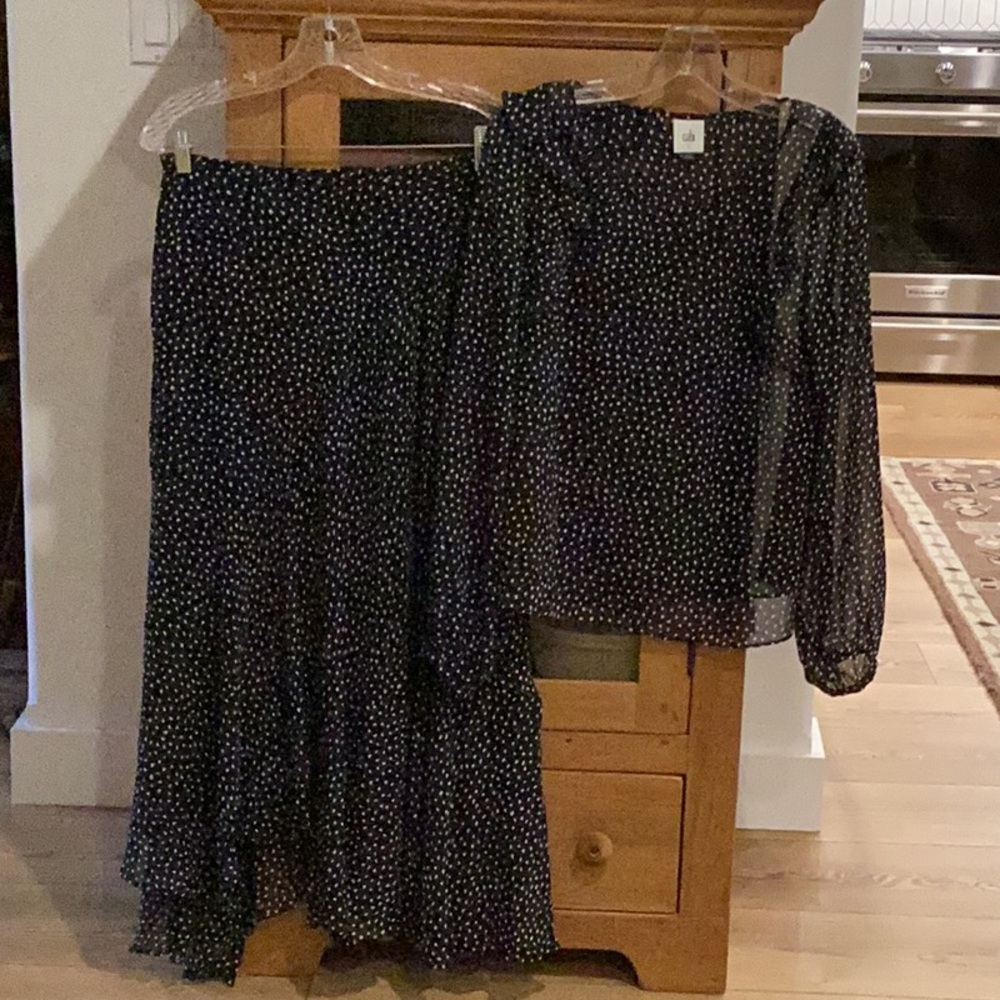 CAbi #3956 Sinatra Blouse S and #4024 Sinatra Skirt (6)